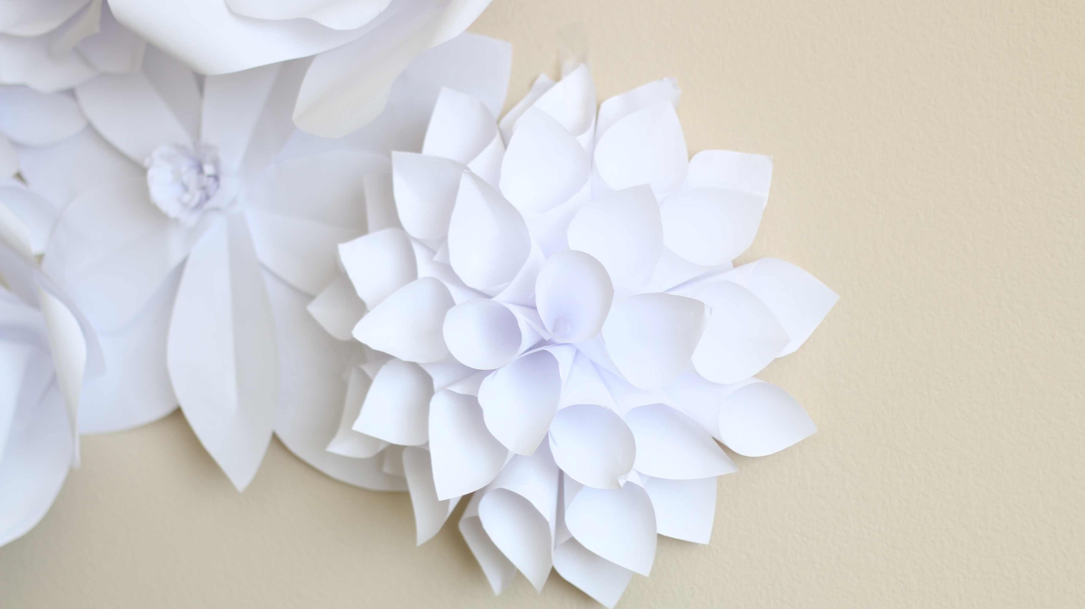 Белый цветок из бумаги (55 фото) - красивые картинки и обои на рабочий стол