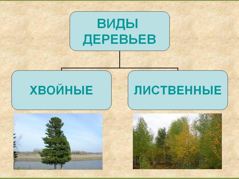 Дерево черное Графика