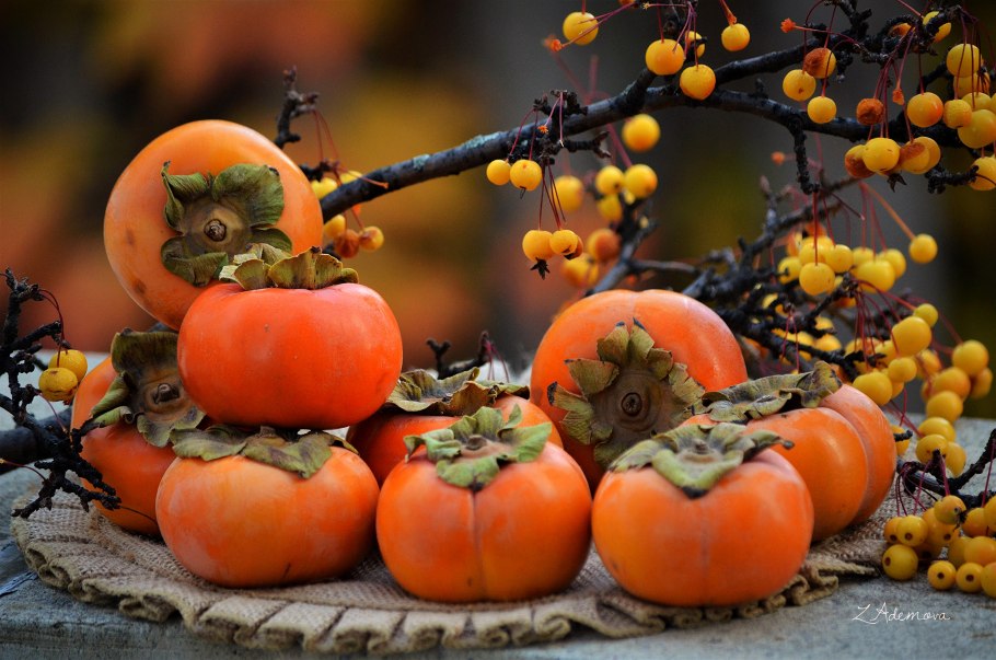 Хурма зеленоплодная