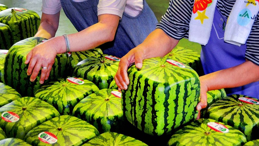 Квадратные арбузы