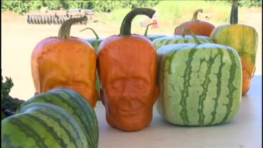 Овощи необычной формы