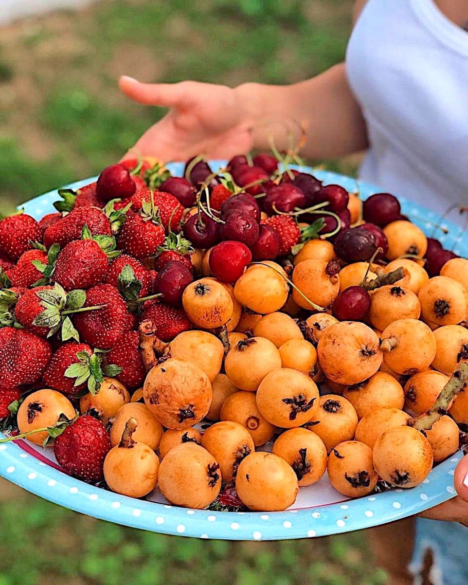 Фрукты Абхазии мушмула