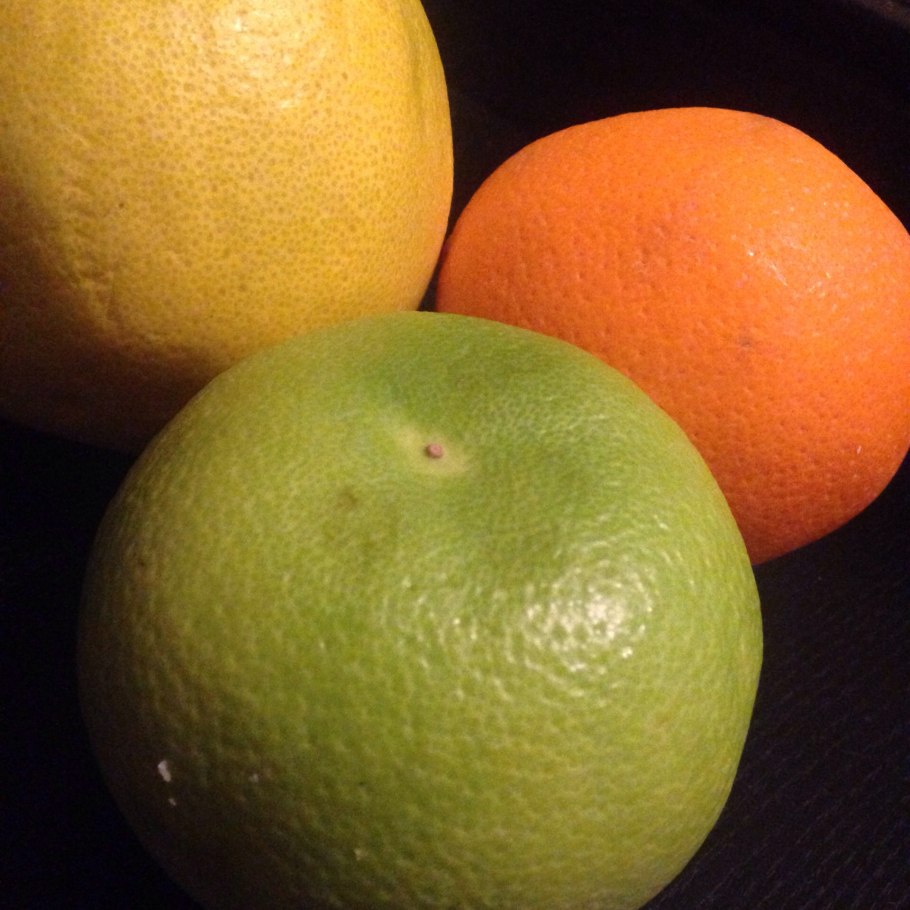 Цитрус помело