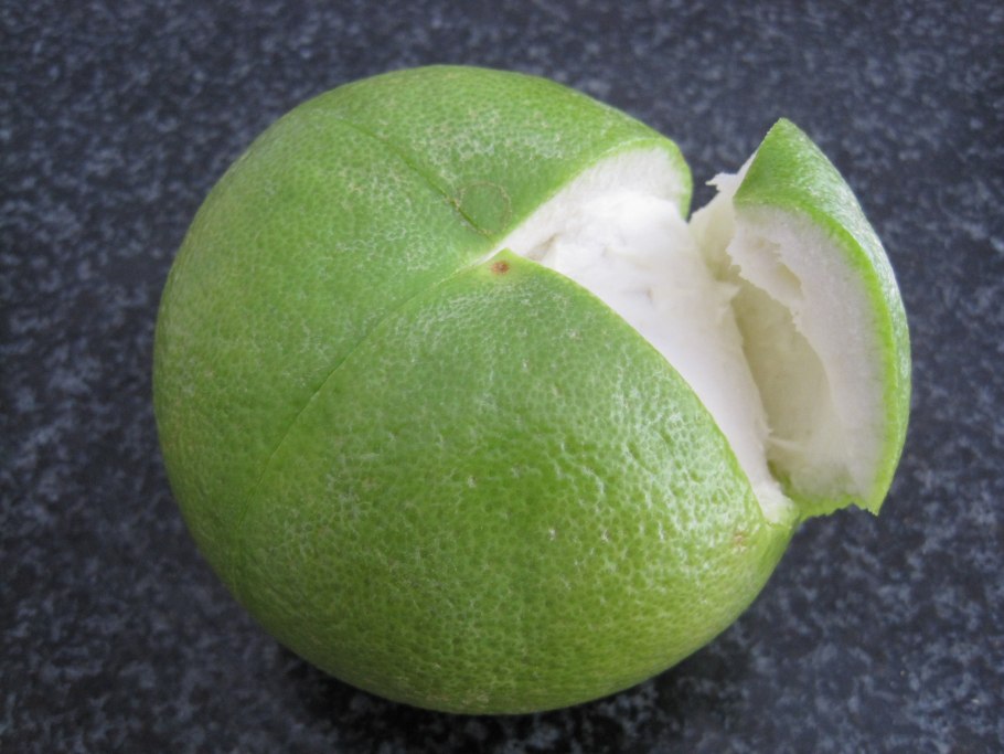 Помело фрукт