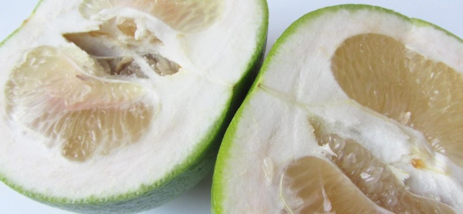 Сорт грейпфрута Свити