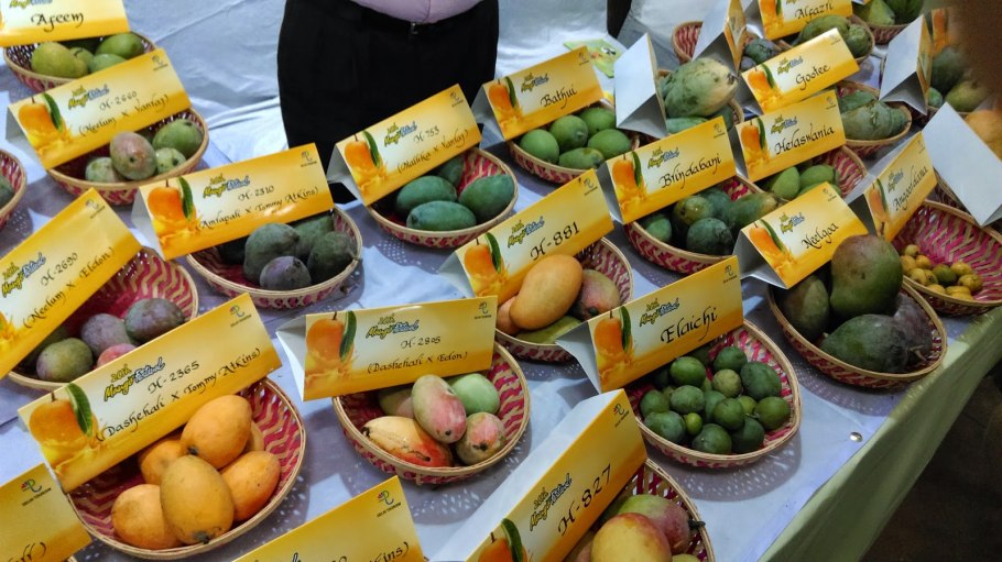 Продукты на Гоа