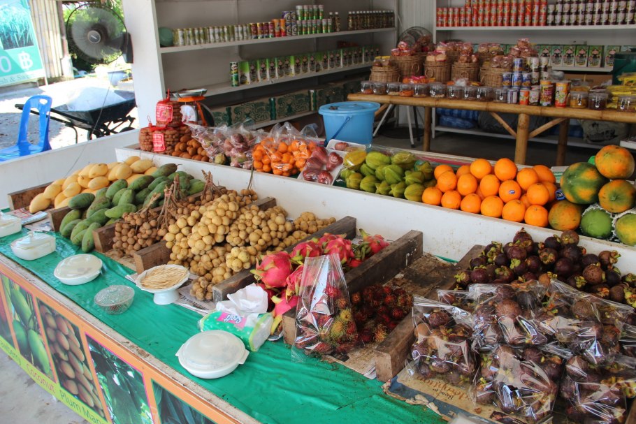 Марокко мандарины плантации