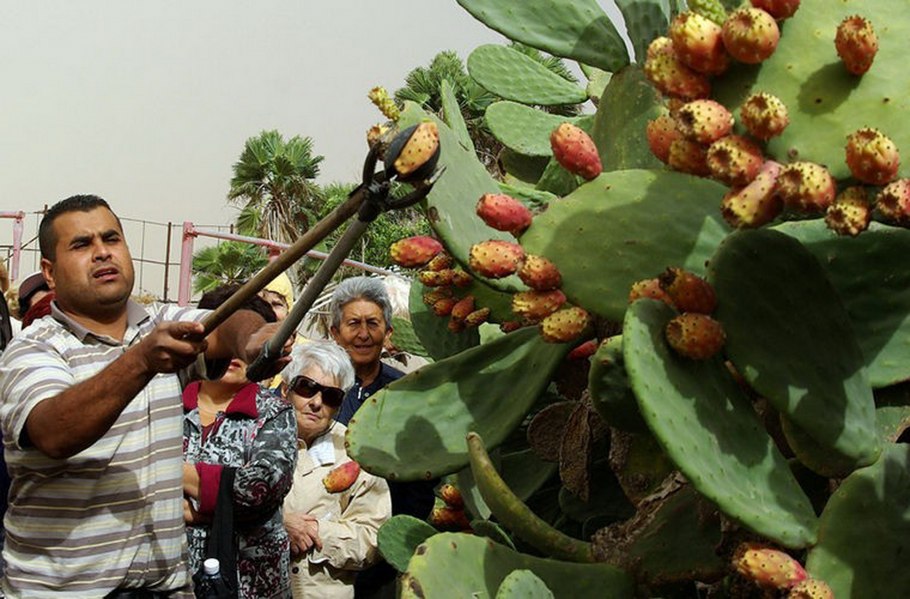 Вьетнамские продукты