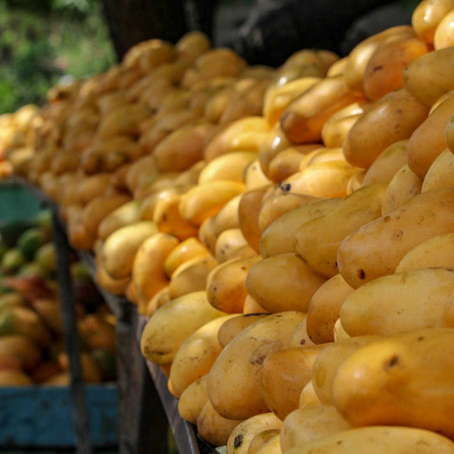 Хозяйство Марокко