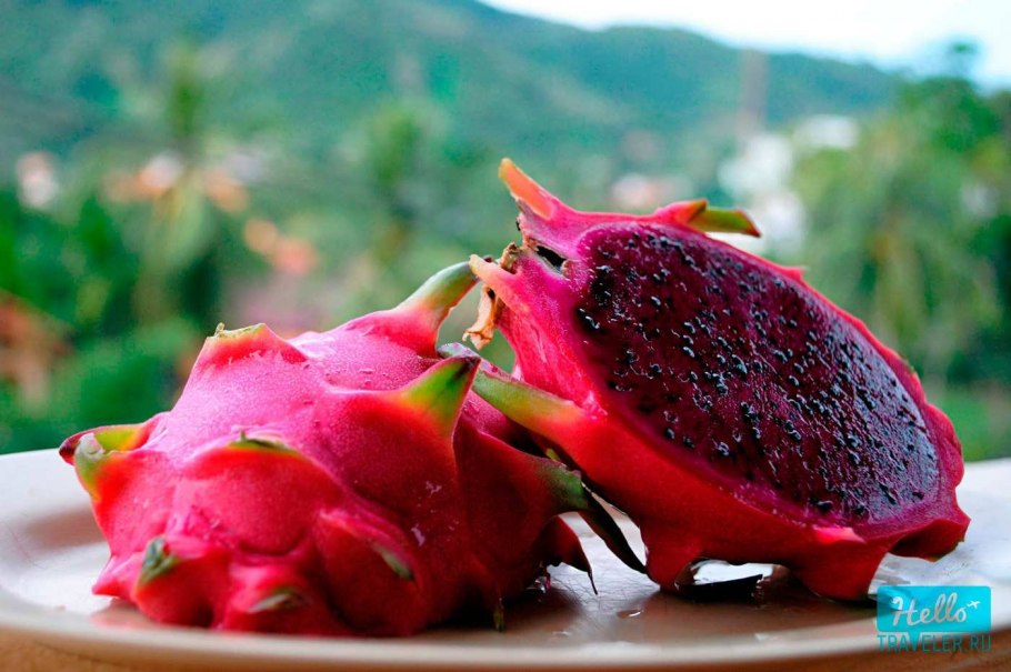 Питайя питахайя