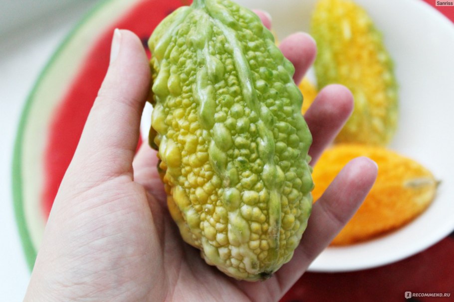 Момордика косточки