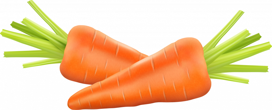 Игра вершки и корешки