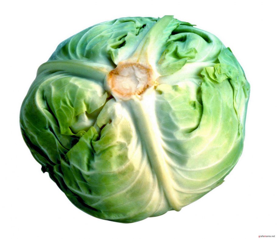 Пазлы овощи для детей