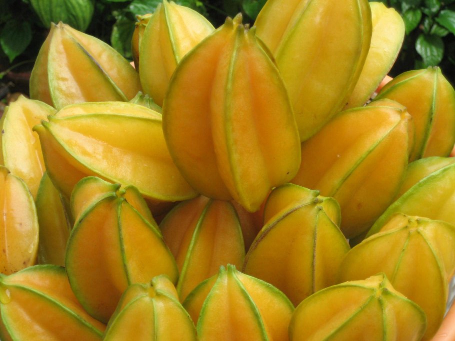 Плод карамбола