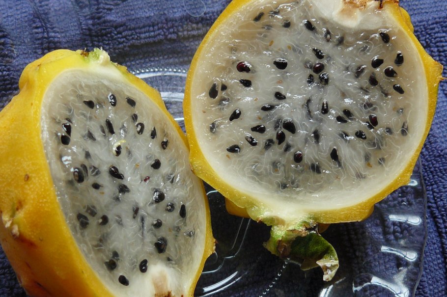 Фрукт с семечками