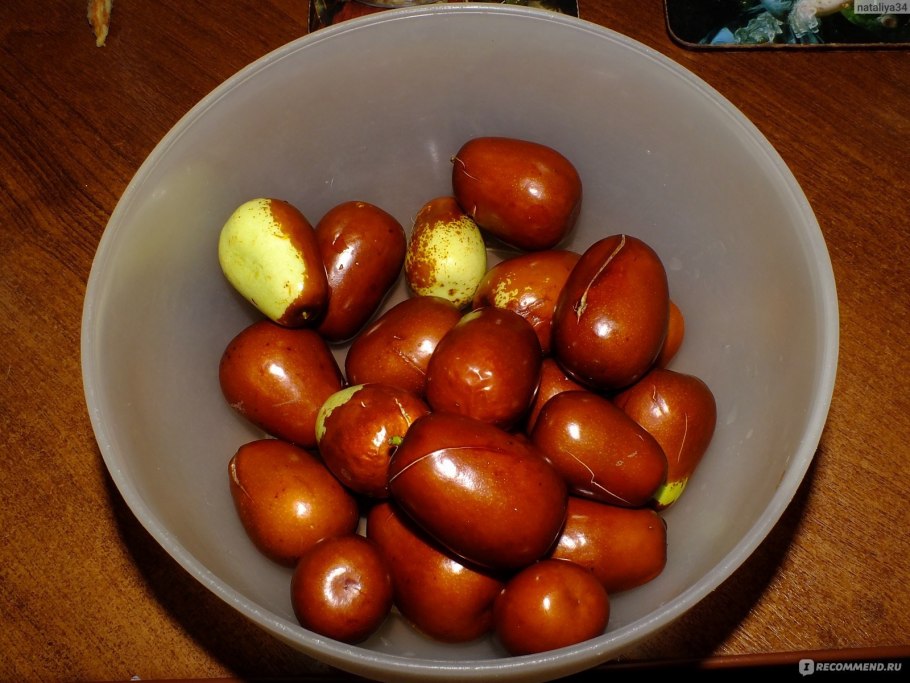 Зизифус красный финик