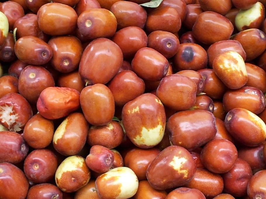 Jujube Fruit