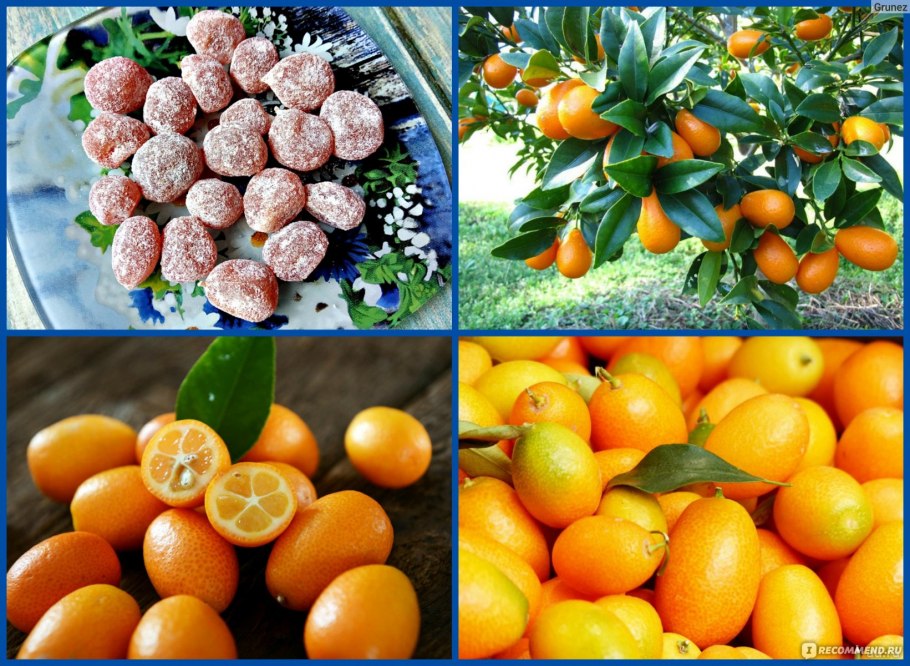 Кумкват микс