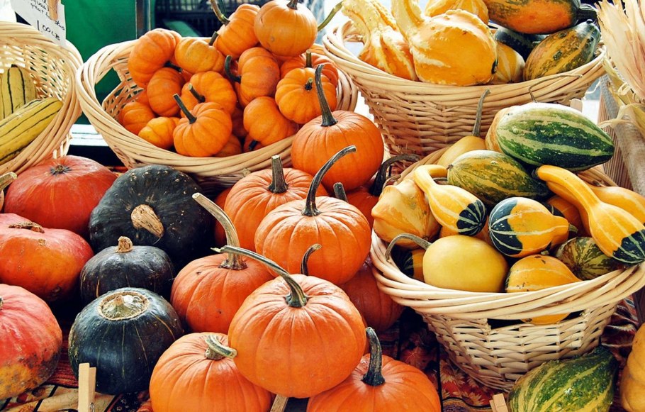 Осенние дары овощи