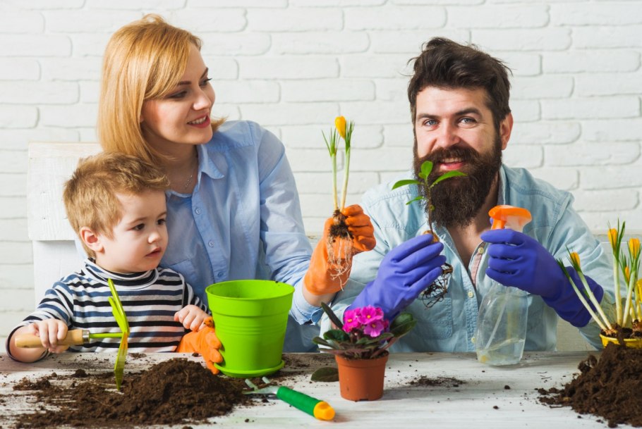 Антуриум Ягуар Грин