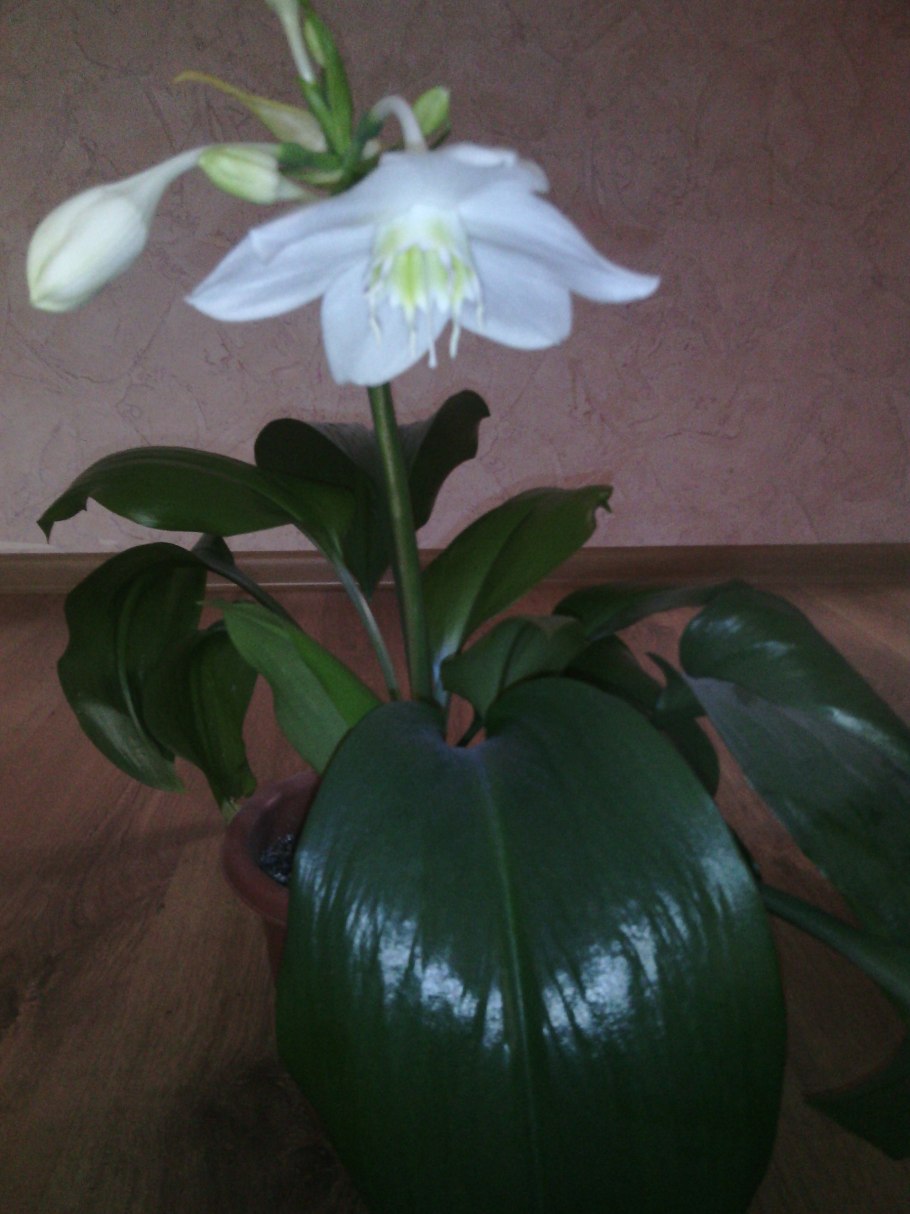 Семейный эко-фест во «Вдохновении»