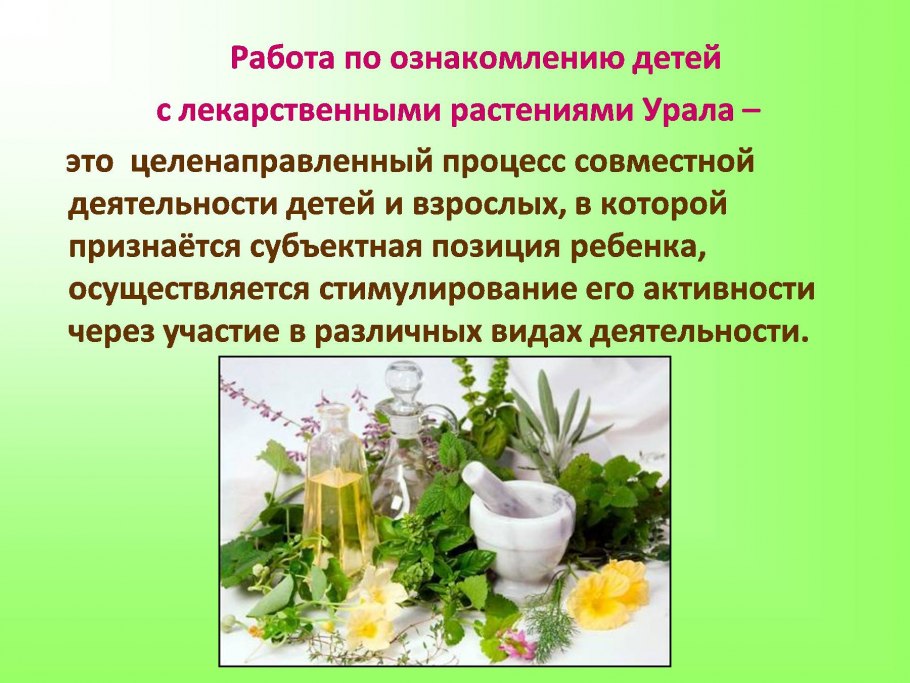 Презентация для детей лекарственные растения Урала