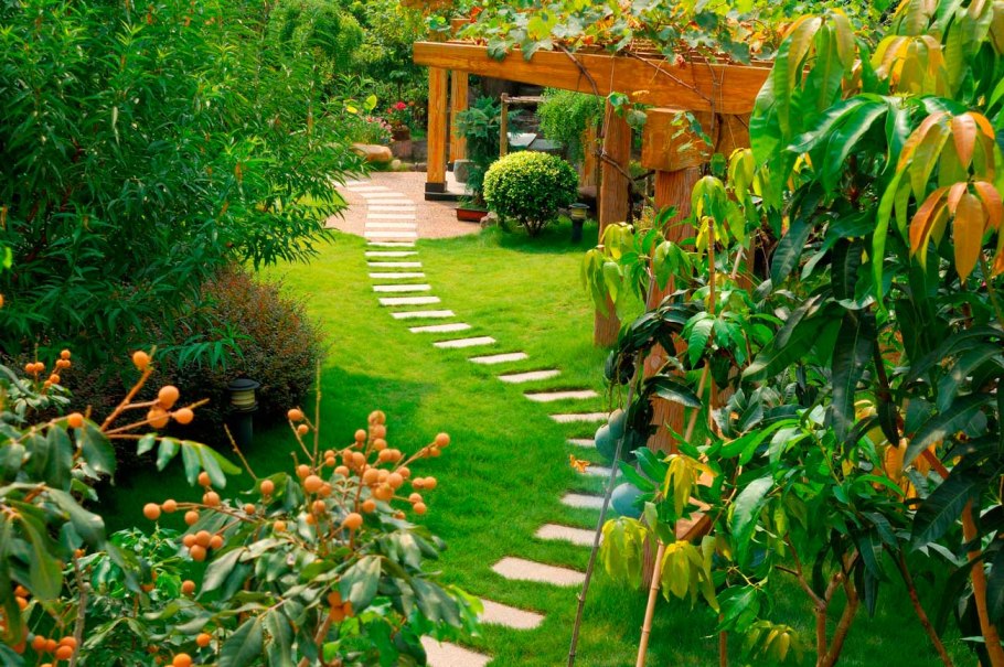 Ландшафт с плодовыми деревьями