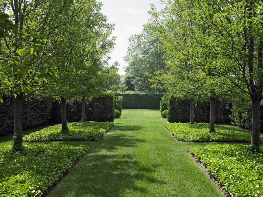 Плодовый сад в ландшафтном