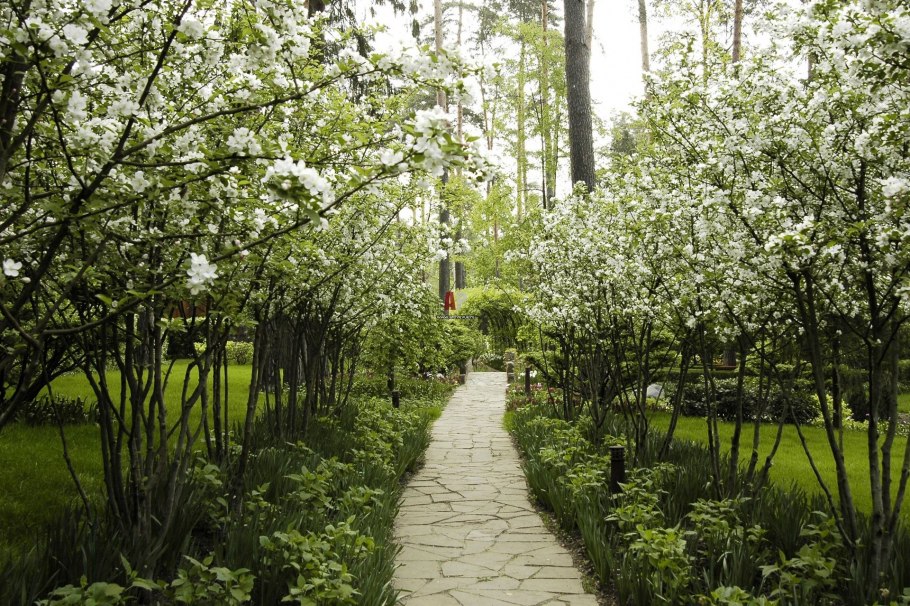 Митинский ландшафтный парк Яблоневый сад