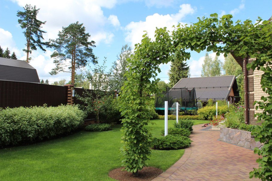 Ландшафт с плодовыми деревьями