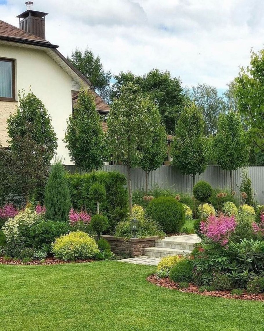 Миксбордер Сапелин