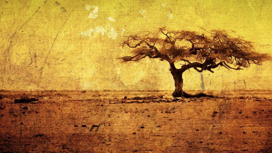 Анчар дерево яда