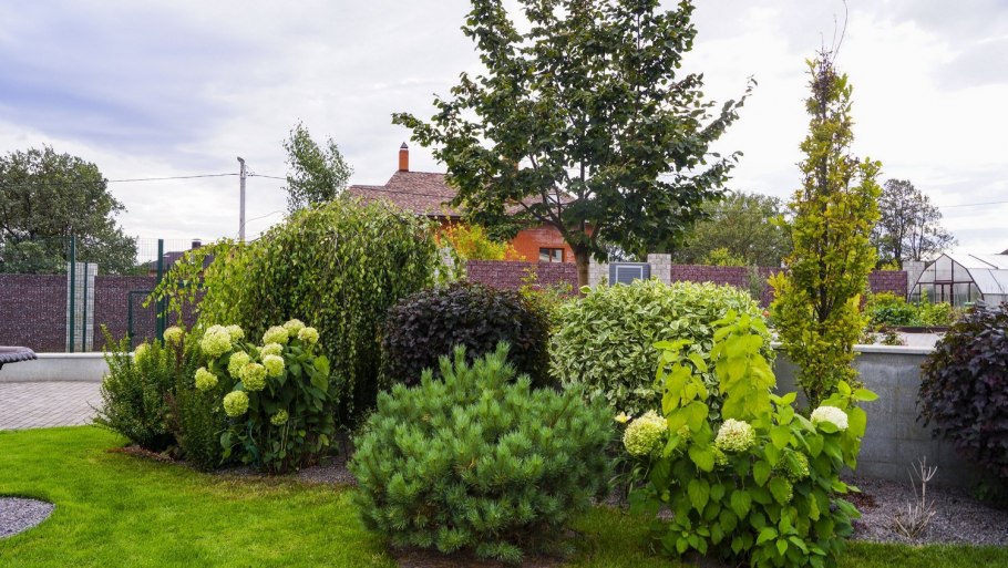 Клумба гортензия пузыреплодник дерен