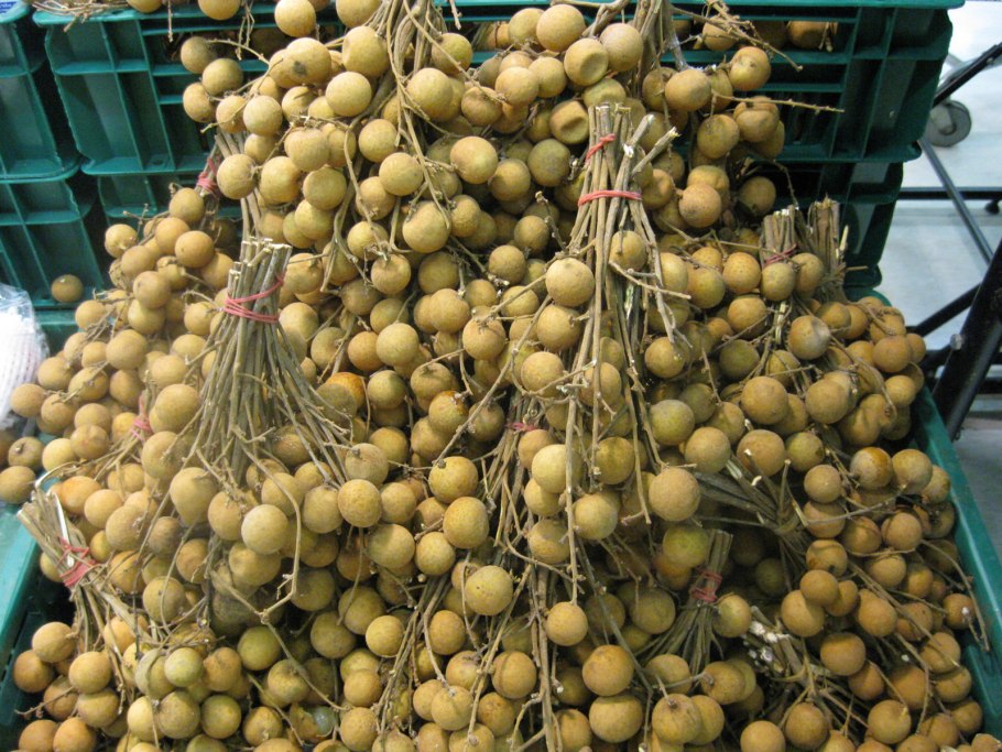 Драгон фрукт красный