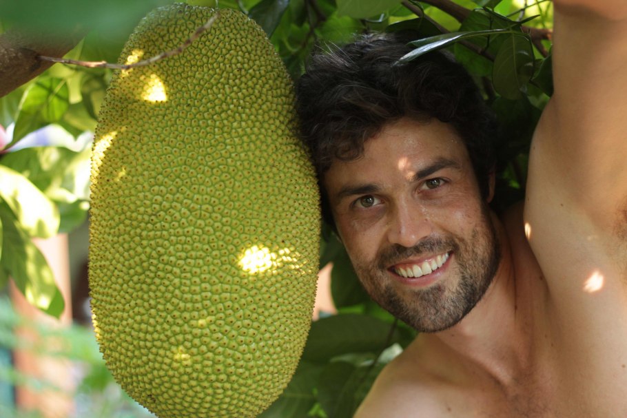 Тайский джекфрут