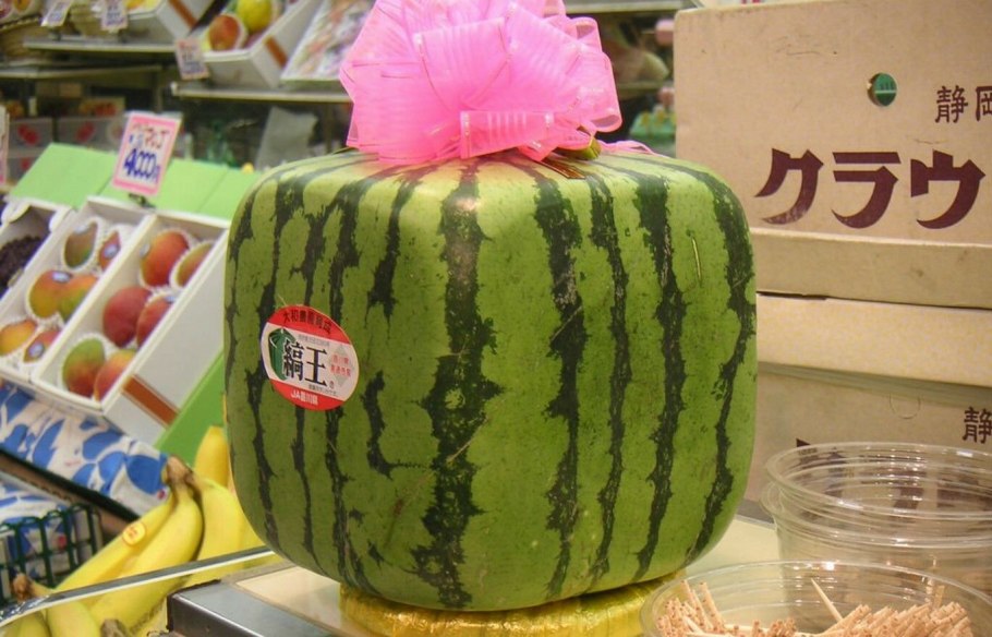 Кивано Африканский огурец