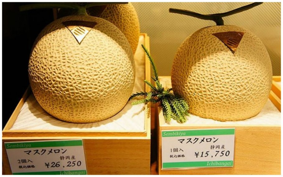 Королевская дыня Юбари