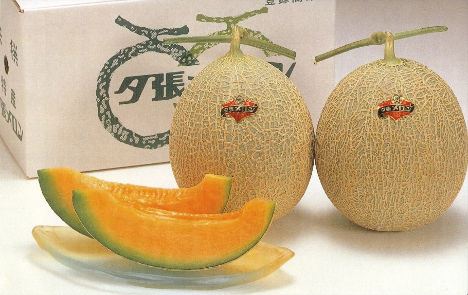 Дыня Yubari King