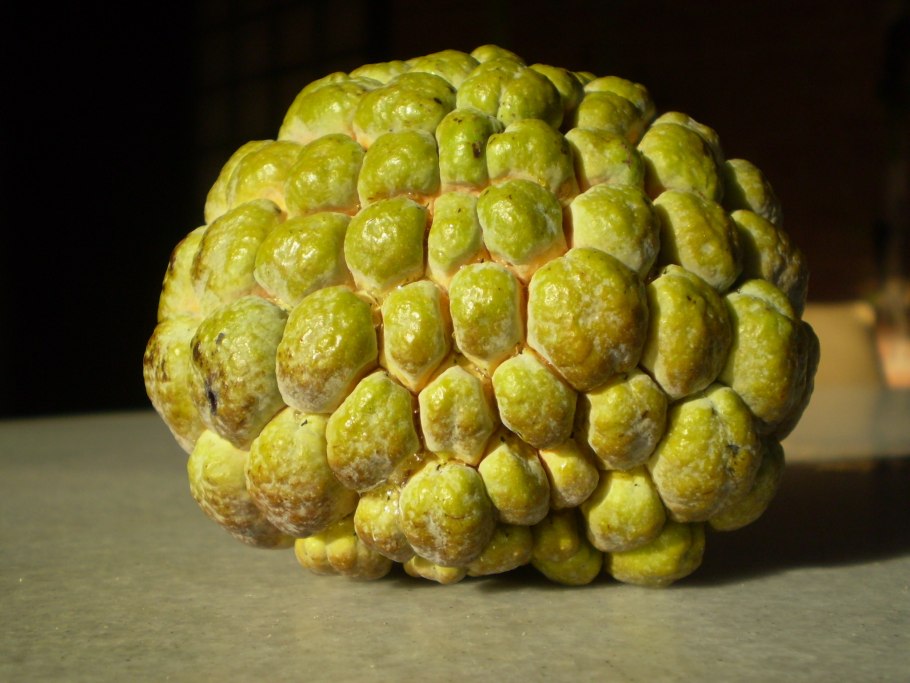 Пандан плод