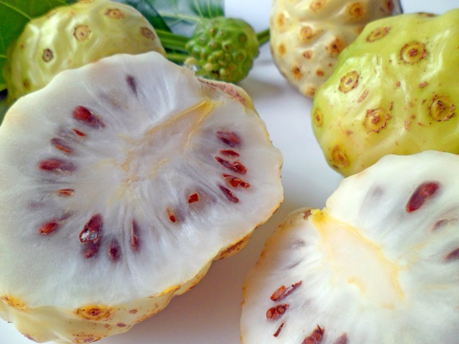 Моринда цитрусолистная