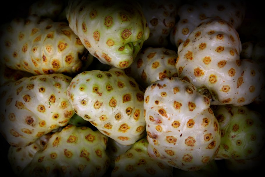 Плоды нони и девушки