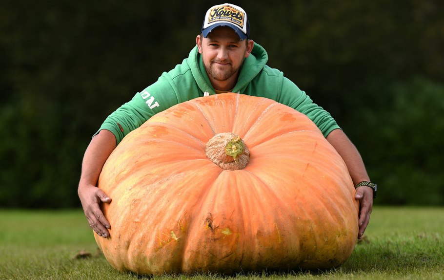 Самая большая тыква