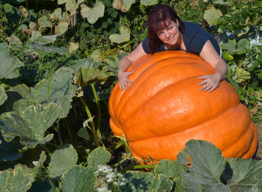 Самый большой кабачок