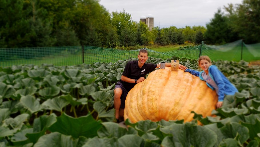 Тыква гигантская