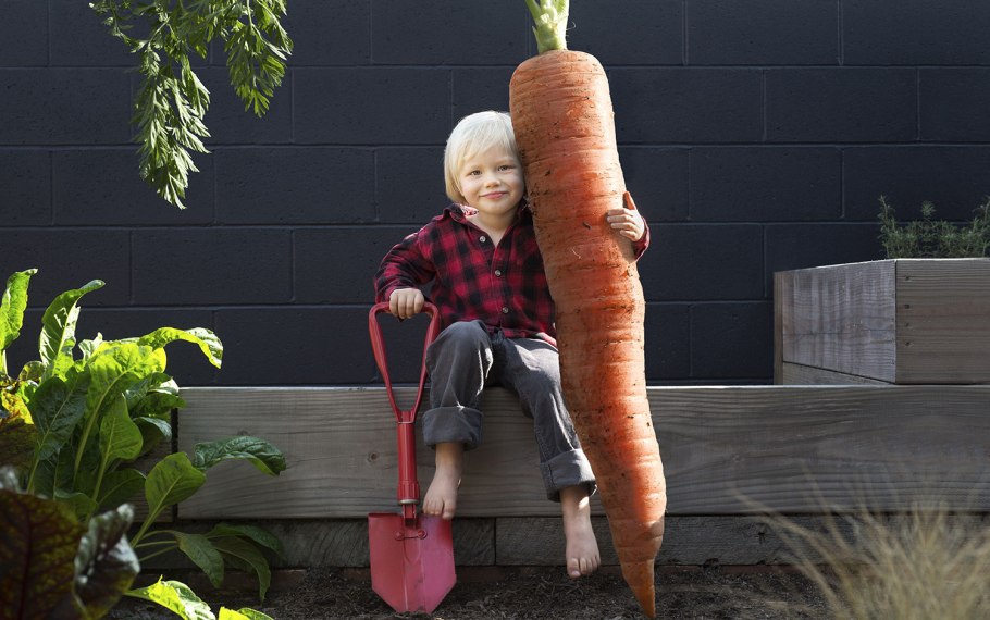 Гигантские овощи и фрукты