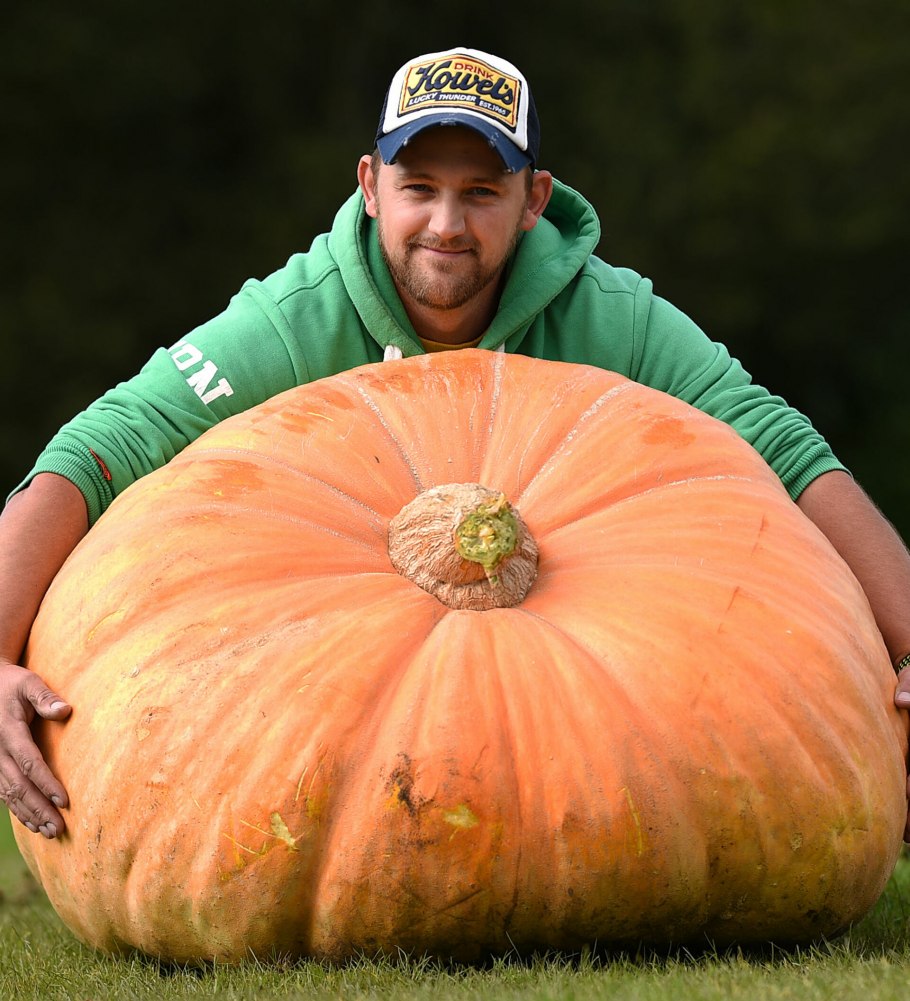 У нас выросла тыква