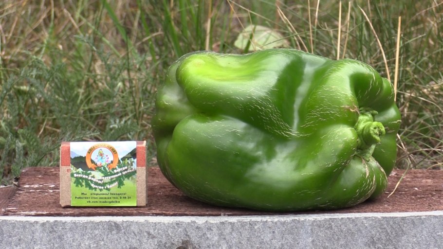 Большой перец