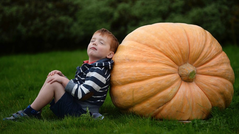 Большая тыква