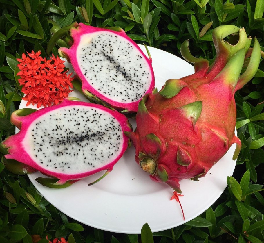 Мангустин питахайя гуава