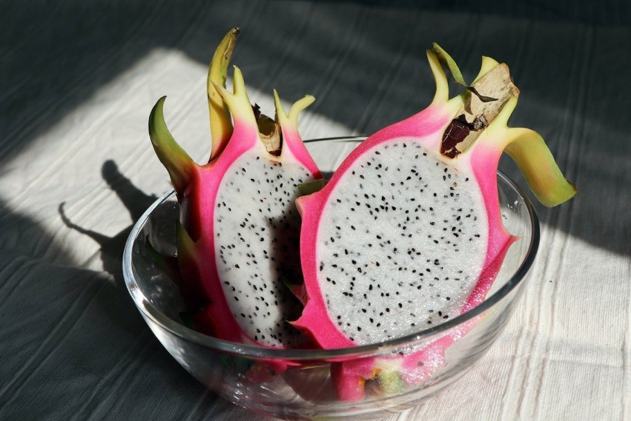 Питахайя растение